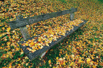 c20061210a.jpg