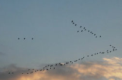 r20061014c.jpg