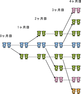 ウサギの数の問題